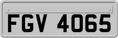 FGV4065