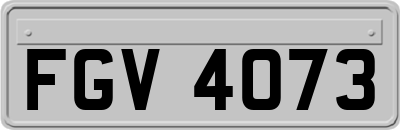 FGV4073