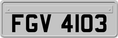 FGV4103