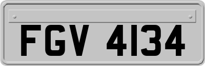 FGV4134