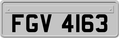 FGV4163