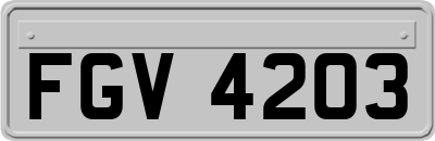 FGV4203