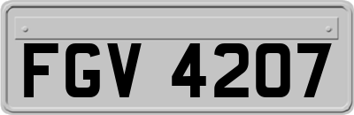 FGV4207