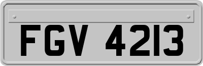 FGV4213