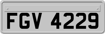 FGV4229