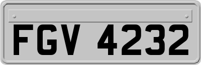 FGV4232
