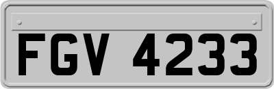 FGV4233