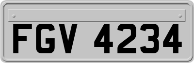 FGV4234
