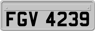 FGV4239