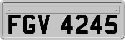 FGV4245