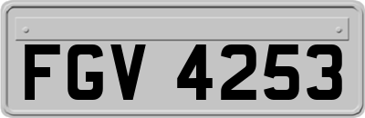 FGV4253
