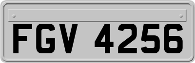 FGV4256