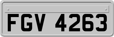 FGV4263