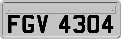 FGV4304
