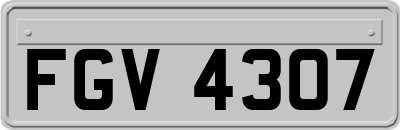 FGV4307