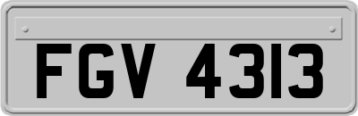 FGV4313