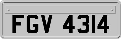 FGV4314