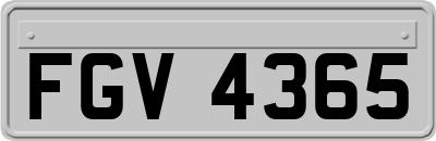 FGV4365