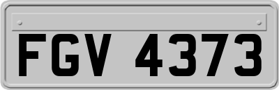 FGV4373