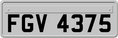 FGV4375