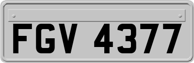 FGV4377