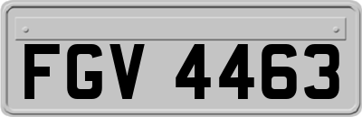 FGV4463