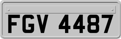 FGV4487