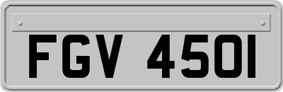 FGV4501