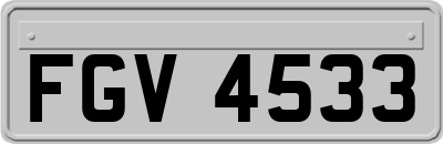 FGV4533