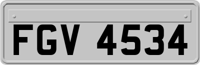 FGV4534