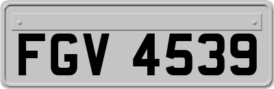FGV4539