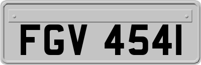 FGV4541