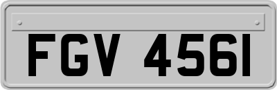 FGV4561