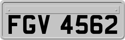 FGV4562
