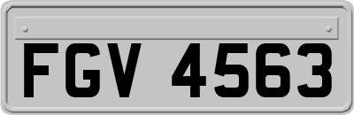 FGV4563