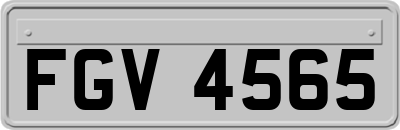 FGV4565