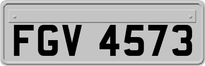FGV4573