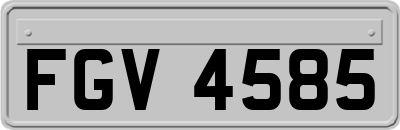 FGV4585