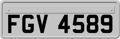 FGV4589