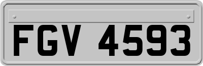 FGV4593