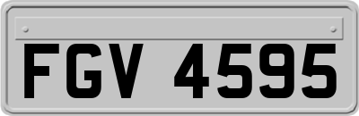 FGV4595