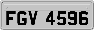 FGV4596