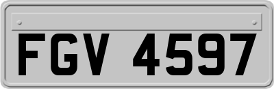 FGV4597