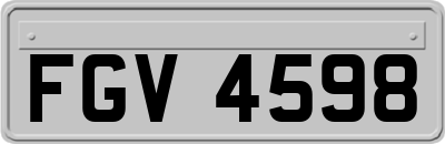 FGV4598