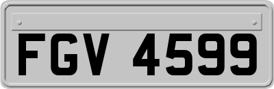 FGV4599