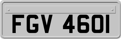 FGV4601
