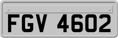 FGV4602