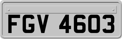 FGV4603