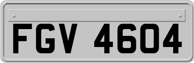 FGV4604