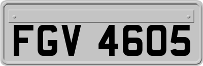 FGV4605